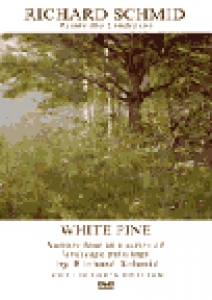 Richard Schmid Paints the Landscape: White Pine DVD