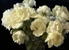 White Roses by Diane Reeves