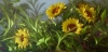 Joy in the Morning by Diane Reeves
