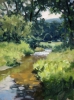 Young Stream by John MacDonald